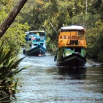 boat-rimba