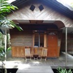 rimba lodge tanjung puting