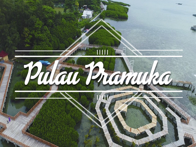 Pulau Pramuka - Penyu